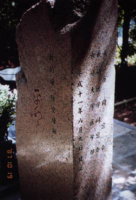 写真7