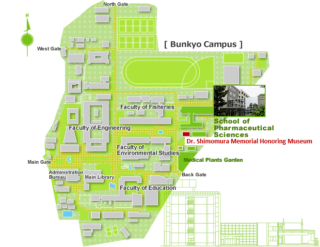 Bunkyo Campus
