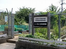 Medical Plants Garden