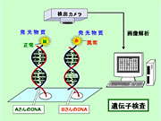 Course of Pharmaceutical Sciences Department of Environmental and Pharmaceutical SciencesCourse of Pharmaceutical Sciences Department of Environmental and Pharmaceutical Sciences