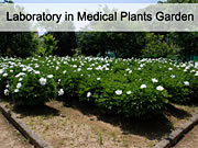 Laboratory in Medical Plants Garden