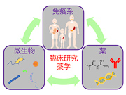 Molecular Pharmacology of Infectious Agents