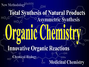 Pharmaceutical Manufacturing Chemistry