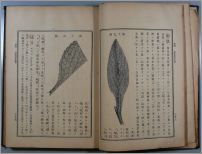 生薬学教科書202