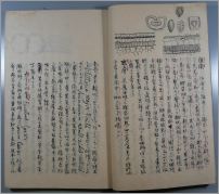 生薬学002