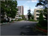 北門への道路