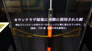 net03_320.jpg