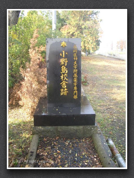 onojima001