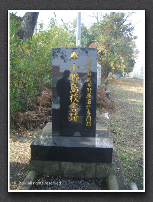 onojima020