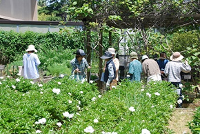 平成２２年度公開講座の光景