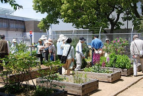 平成２２年度公開講座の光景