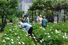 平成２２年度公開講座の光景