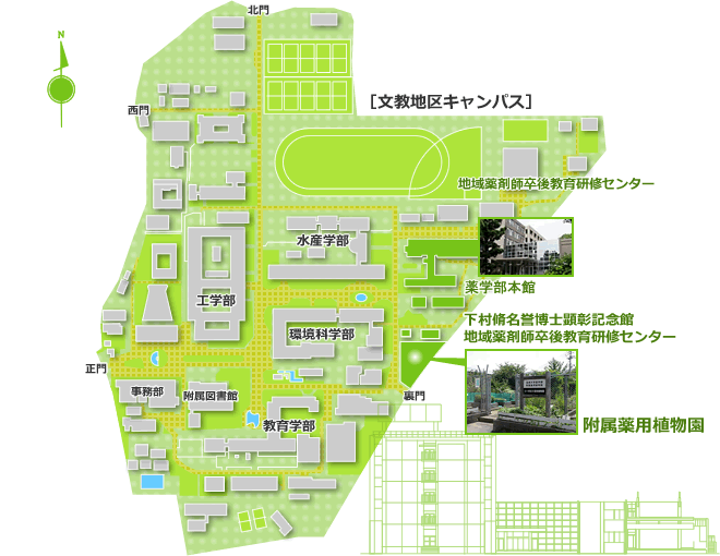 文教キャンパス：薬学部