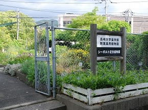 薬用植物園入り口