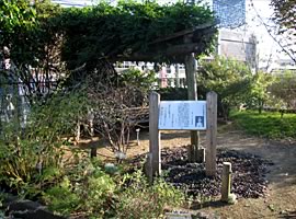 シーボルト記念植物園の一画