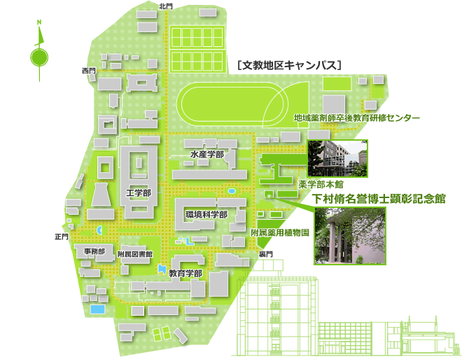 文教キャンパス：薬学部