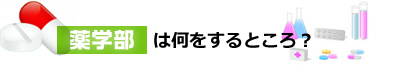 薬学部は何をするところ?