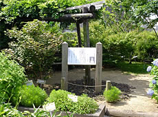 シーボルト記念植物園