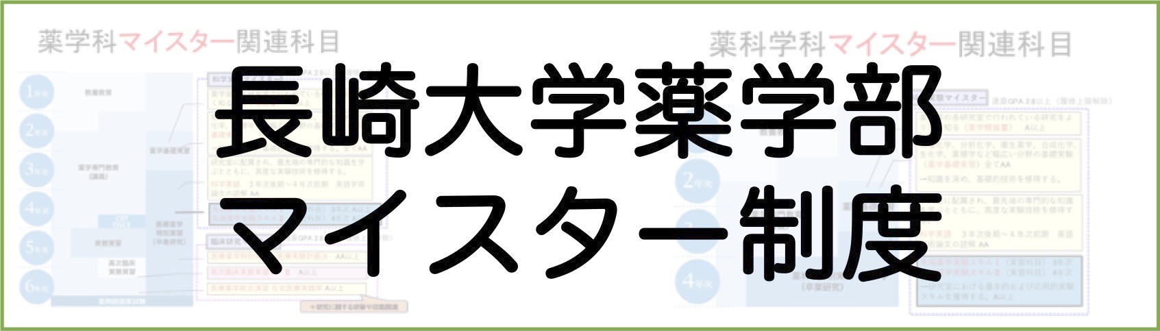 マイスター制度