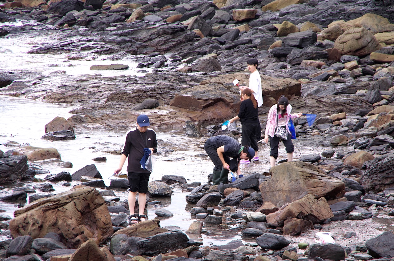 サンプルビルボード画像