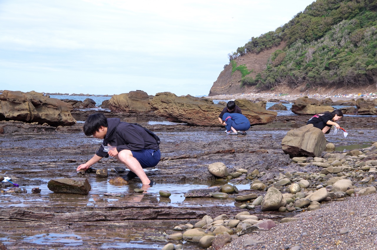 サンプルビルボード画像