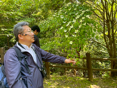 ながさき県民の森植物観察BBQ会17