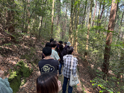ながさき県民の森植物観察BBQ会3