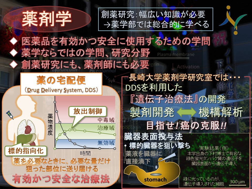 薬剤学分野研究テーマ