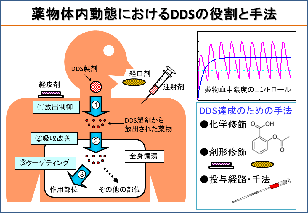 DDSの役割と手法