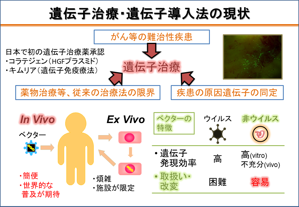 遺伝子導入法