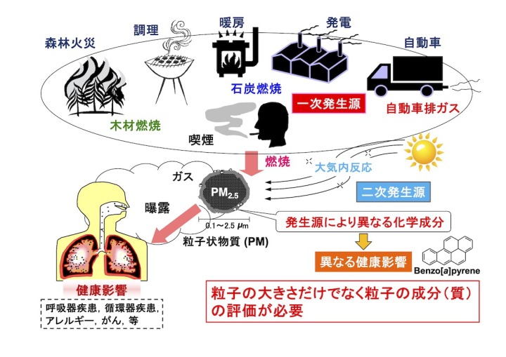 Research - 衛生化学分野