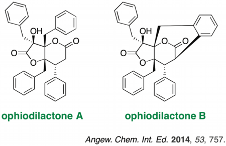 ophiodicatone.tif
