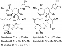 chem201804977-fig-0001-m-1.png