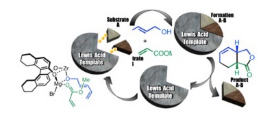 Graphical Abstract.jpg