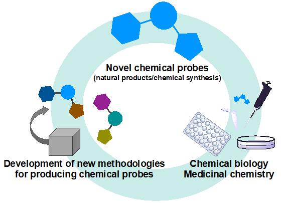 Chemical Biology and Medicinal Chemistry for Pharmaceuticals