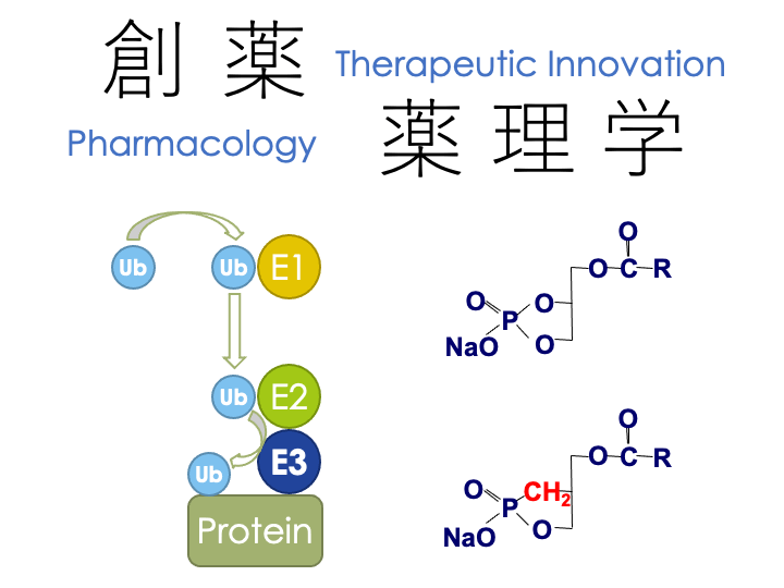 創薬薬理学