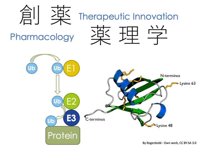 創薬薬理学