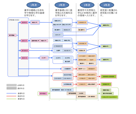 薬科学科カリキュラムツリー