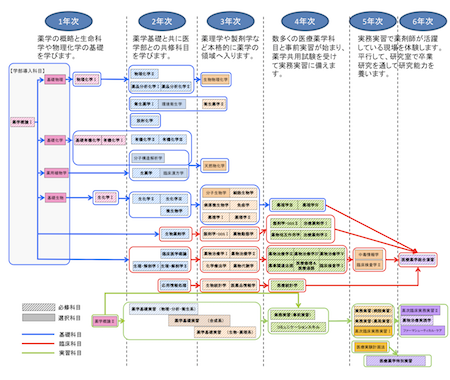 薬学科カリキュラムツリー